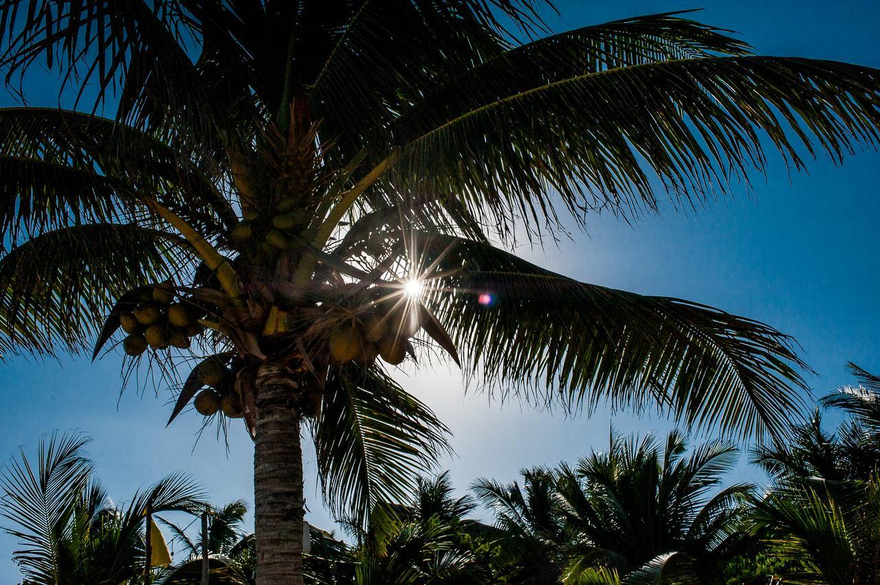 Hotel Cabanas La Luna Tulum Exteriér fotografie